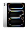Изображение iPad Pro 11 M4 2024 2TB Wi-Fi Silver Nano