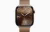 Изображение S10 42 Milanese Gold