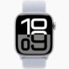 Изображение S10 42 Silver Blue Loop
