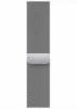 Изображение S8 41 Silver Stainless Milanese