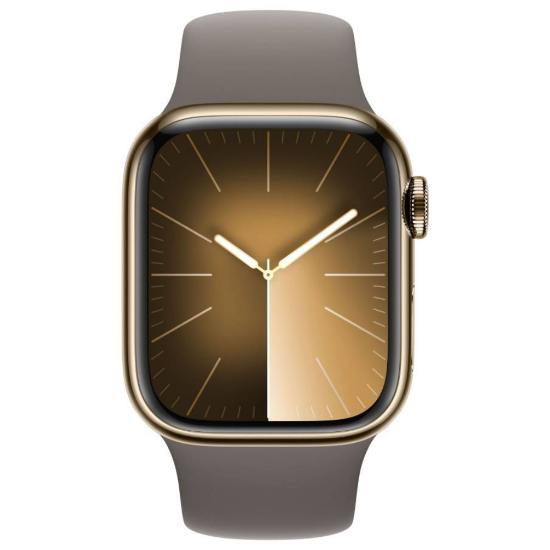 Изображение S9 45 Gold Stainless Clay Sport Band (S/M)