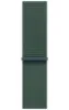 Изображение Watch SE 40 Starlight Lake Green Loop Band (2024)